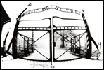 Auschwitz (5)