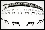 Laktanya (4)