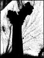 Erezet