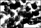 Rorschach-teszt (2)