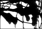 Rorschach-teszt (3)
