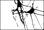 Rorschach-teszt (7)